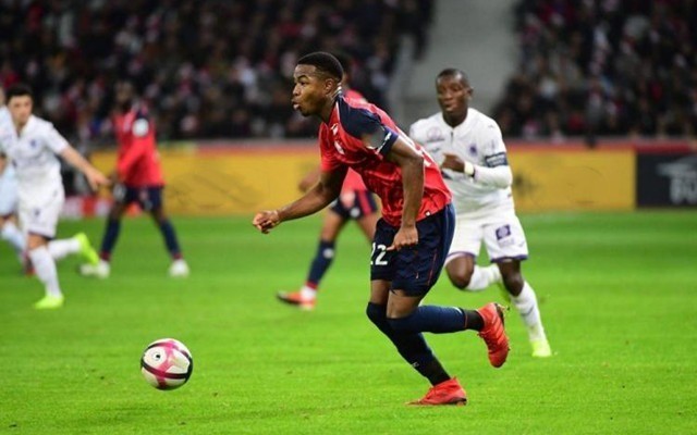 负的关键因 负的关键因