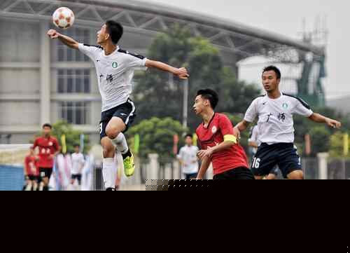 品牌护城河 品牌护城河